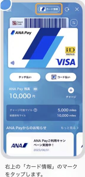 ANAペイ バーチャルカードの見方